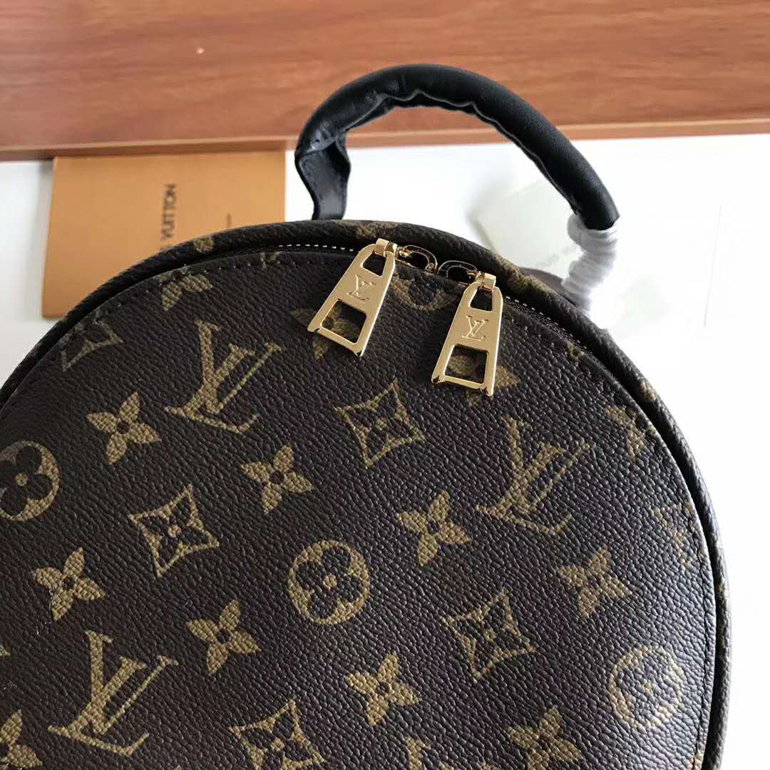 Louis Vuitton LV Unisex Palm Springs PM Backpack in Monogram Coated Canvas-Brown