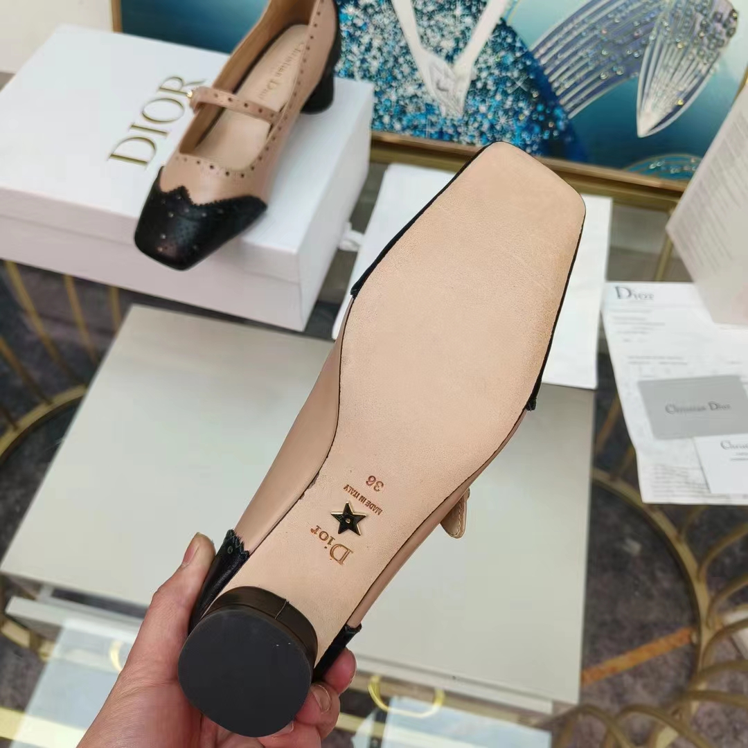 Dior Women Shoes CD Spectadior Ballet Pump Black Nude Perforated Calfskin