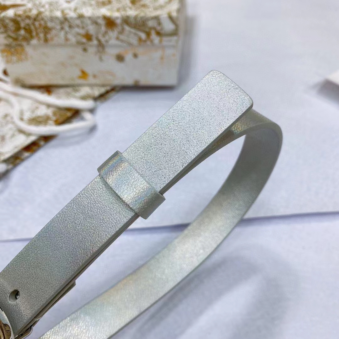 Dior Unisex CD Dior Or Saddle Belt Metallic Silver-Tone Smooth Calfskin 20 MM
