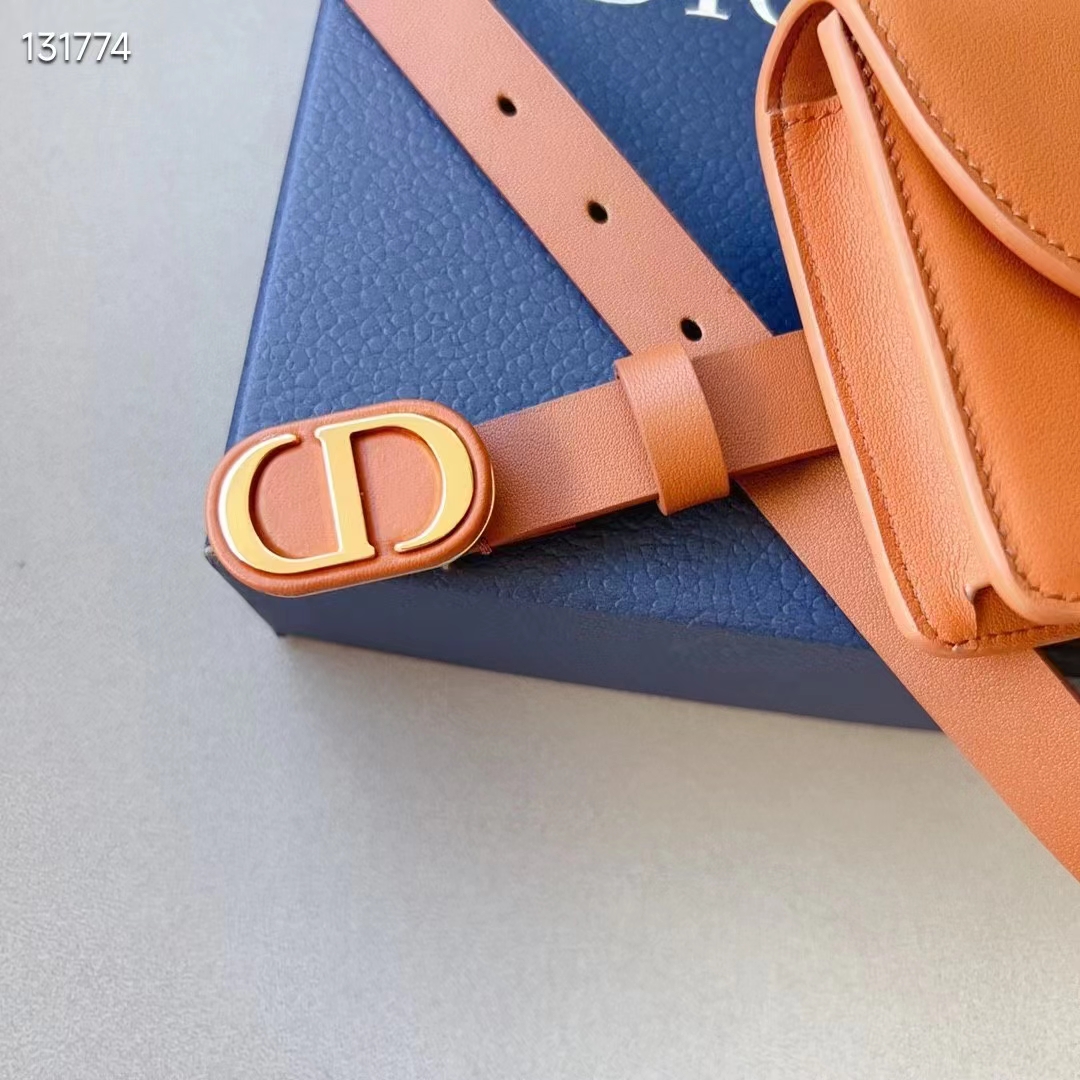 Dior CD Women Dior Bobby Belt Removable Pouch Orange Smooth Calfskin 20 MM Width