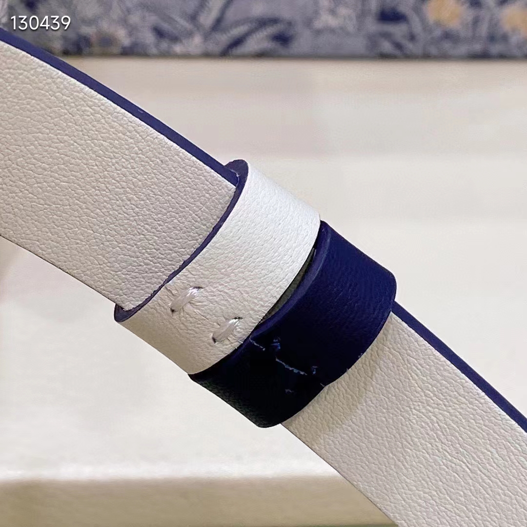 Dior Unisex CD Reversible Saddle Belt Golden Saddle Blue Latte Smooth Calfskin