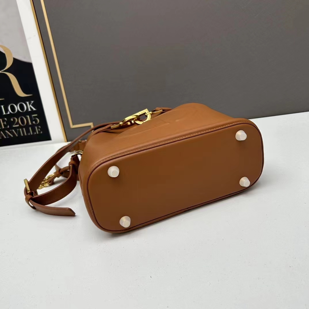 Dior Women CD Small C’est Dior Bag Golden Saddle CD-Embossed Calfskin