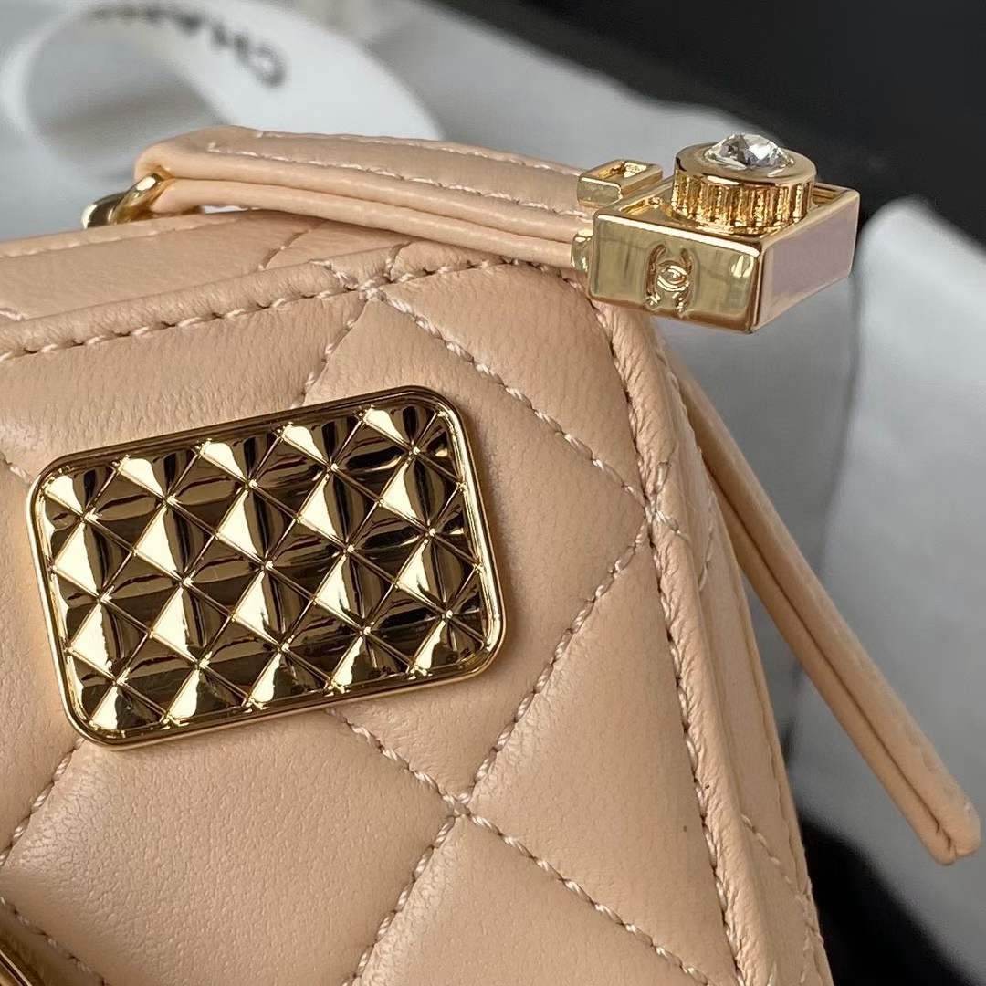Chanel Women CC Camera Bag Lambskin Gold-Tone Metal Dark Beige