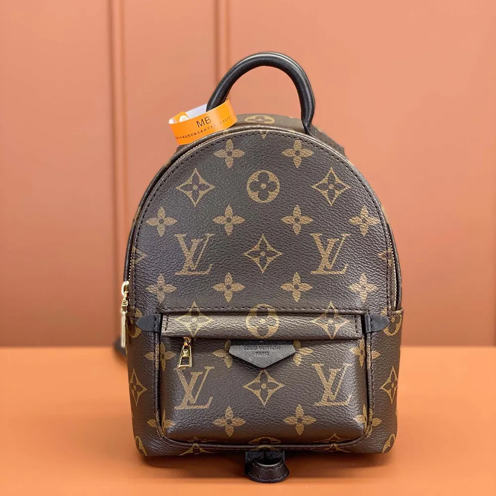 Louis Vuitton LV Women Palm Springs Mini M44873